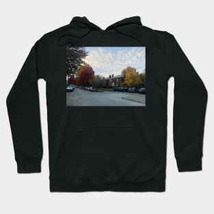 Autumn Scene in Columbus, Ohio Hoodie